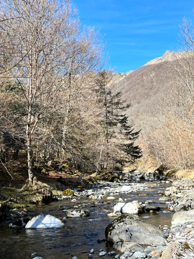 La Bergerie Marie Villa Saint-Aventin Kültér fotó