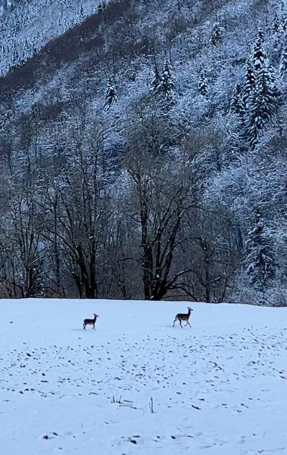 La Bergerie Marie Villa Saint-Aventin Kültér fotó
